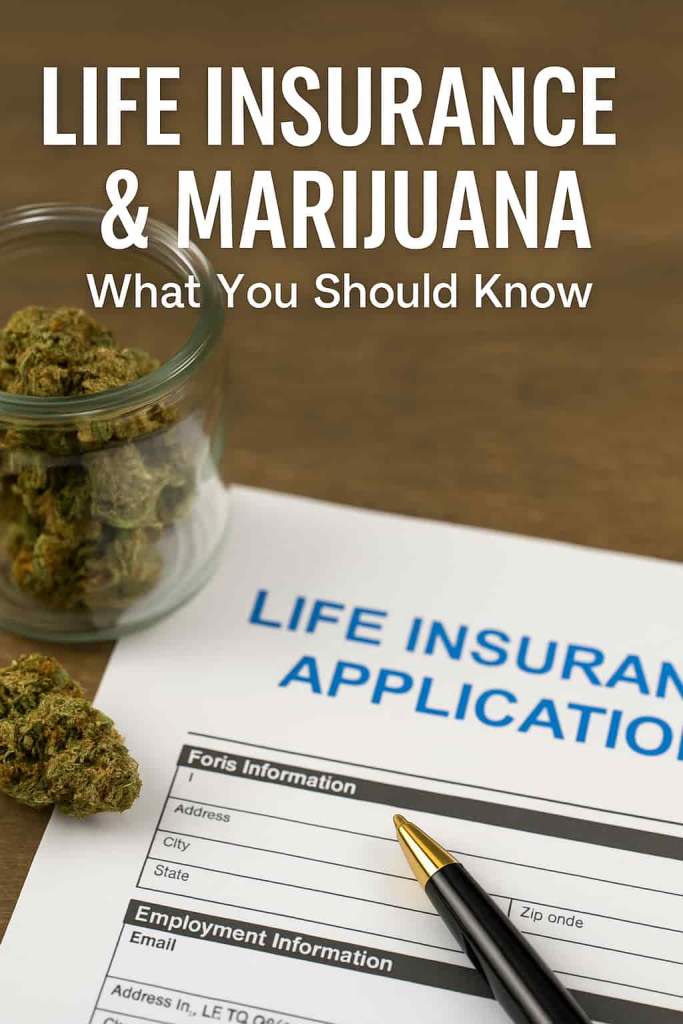 A person reviewing life insurance documents at a kitchen table with a small plant and laptop, overlaid with the text “Life Insurance & Marijuana — What You Should Know.”
